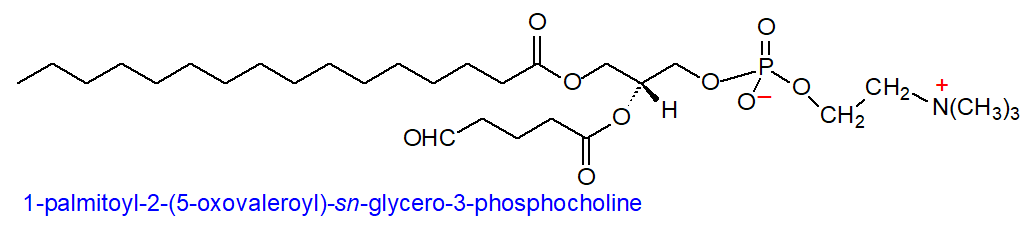 Formula of 1-palmitoyl-2-(5-oxovaleroyl)-sn-glycero-3-phosphocholine