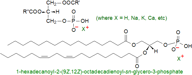 Structural formula of phosphatidic acid