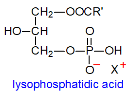 Structural formula of lysophosphatidic acid