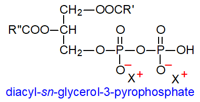 Structural formula of pyrophosphatidic acid