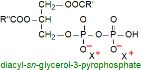 Structural formula of pyrophosphatidic acid