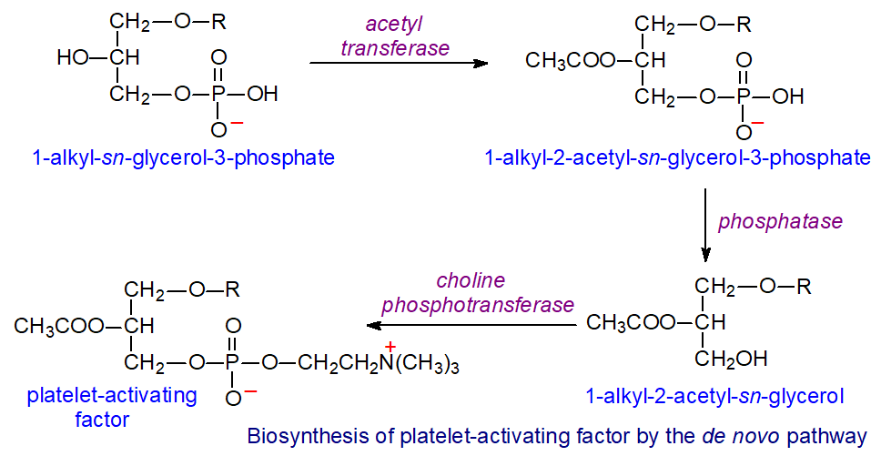 Biosynthesis of platelet-activating factor by the de novo pathway