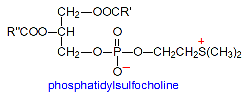 Formula of phosphatidylsulfocholine