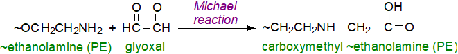 Phosphatidylethanolamine synthesis from phosphatidylserine