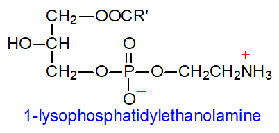 Formula of lysophosphatidylethanolamine