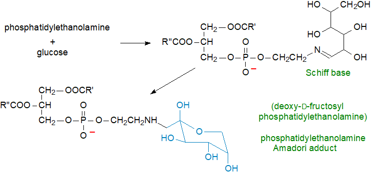 Formula of lysophosphatidylethanolamine