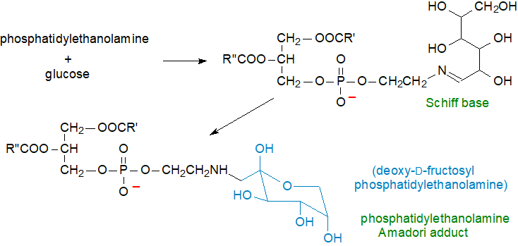 Formula of N-acyl phosphatidylethanolamine