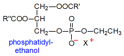 Formula of phosphatidylethanol