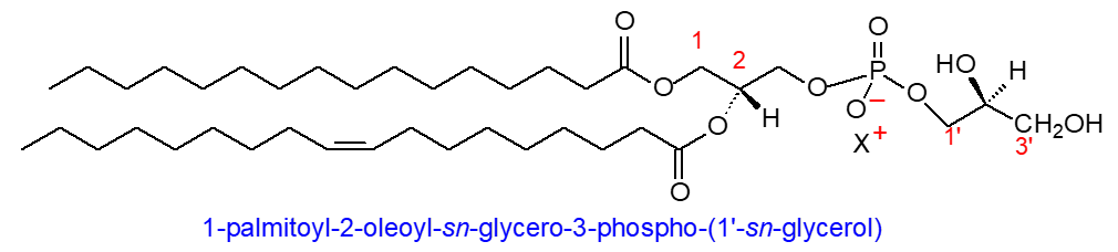 Structural formula of phosphatidylglycerol