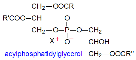Structural formula of acylphosphatidylglycerol