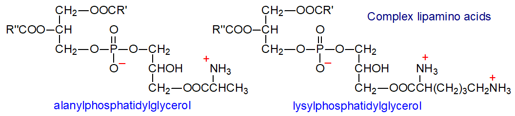 Structural formulae of alanyl- and lysyl-phosphatidylglycerol