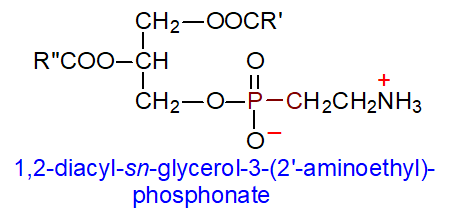 Formula of 1,2-diacyl-sn-glycerol-3-(2'-aminoethyl)phosphonate