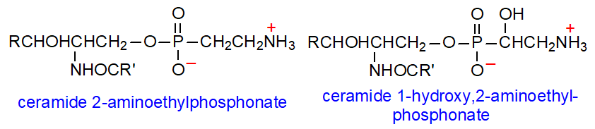 Formula of ceramide 2-aminoethylphosphonate + hydroxy form