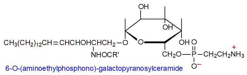 Formula of 6-O-(aminoethylphosphono)galactosyl ceramide