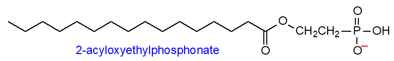 Formula of 2-acyloxyethylphosphonate