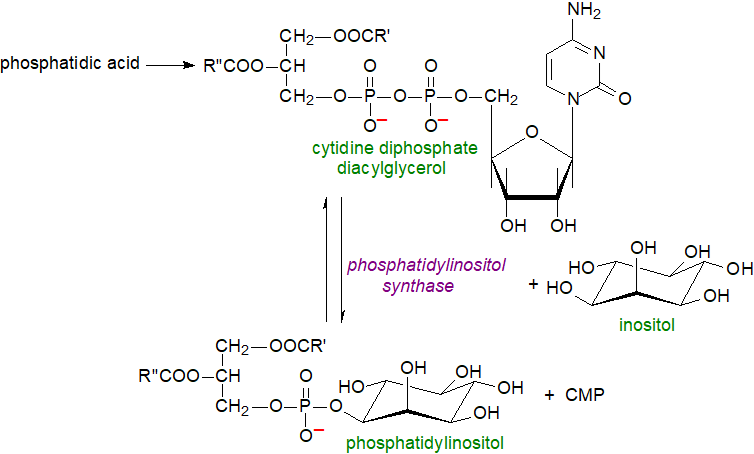 Formula of phosphatidylinositol