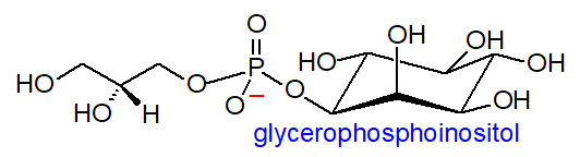 glycerophosphoinositol