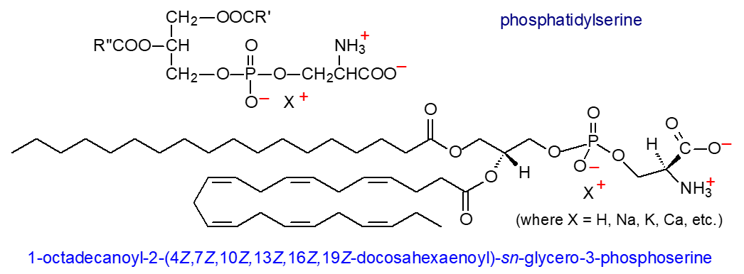 Formula of phosphatidylserine