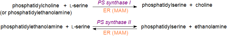 Formula of phosphatidylserine