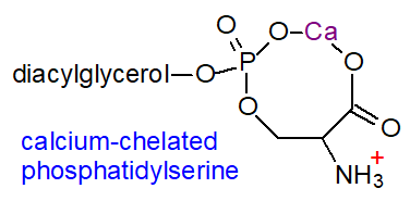 Formula of calcium-chelated phosphatidylserine