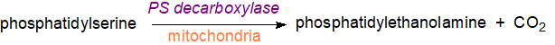 Formula of calcium-chelated phosphatidylserine