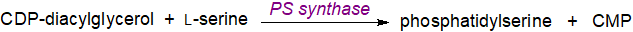 Biosynthesis of phosphatidylserine in animal tissues