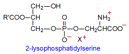 Structural formula of 2-lysophosphatidylserine