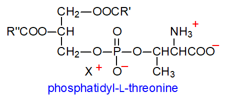 Formulae of phosphatidyl-L-threonine