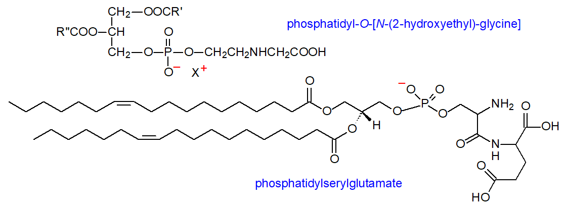 Structural formula of phosphatidylserylglutamate and phosphatidyl-O-[N-(2-hydroxyethyl) glycine]