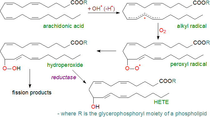 Formula of 4-hydroxy-trans-2-nonenal