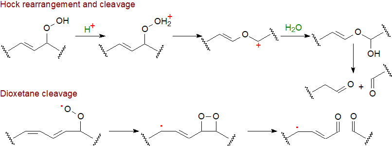 Autoxidation of arachidonic acid