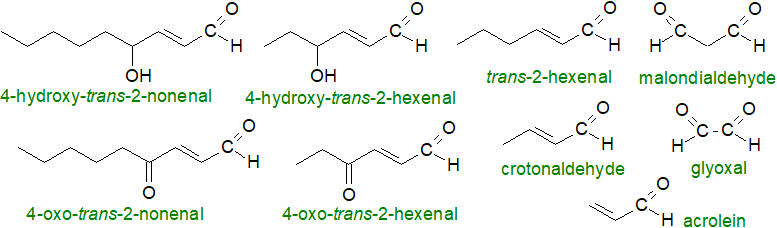 Oxidative cleavage of 13-hydroperoxy-9c,11t-octadecadienoate