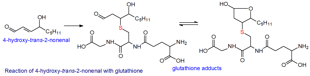 Glutathione adduct of hydroxynonenal