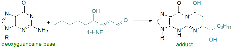 Glutathione adduct of hydroxynonenal