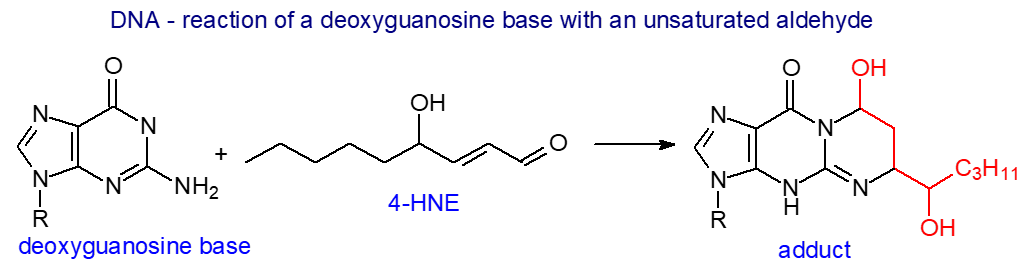 Reaction of an aldehydes with a DNA base