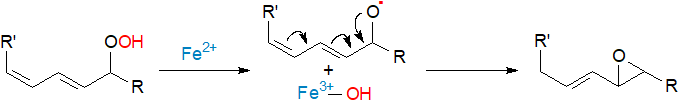 Mechanism of lipoxygenase catalysed epoxide formation