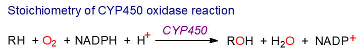 Internal cytochrome P450 hydroxylation of arachidonic acid