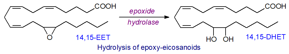 Structural formula of 5-oxo-eicosatetraenoic acid