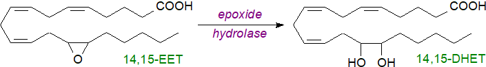 Action of epoxide hydrolase