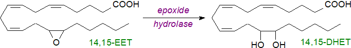 Action of epoxy-hydrolase