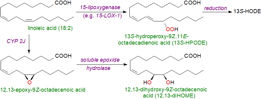 Action of cytochrome P450 oxidases on EPA and DHA