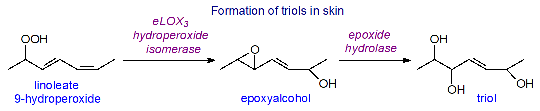 Hydroxylation of oleic acid by a bacterial hydratase