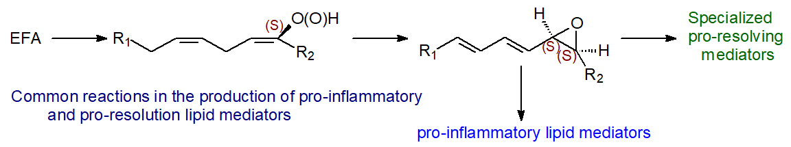 Common reactions in the production of lipid mediators