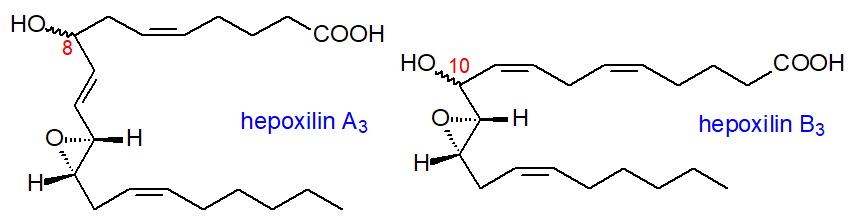 Structural formulae of hepoxilins