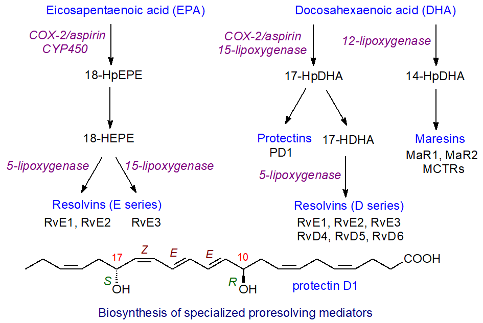 Biosynthesis of specialized pro-resolving mediators