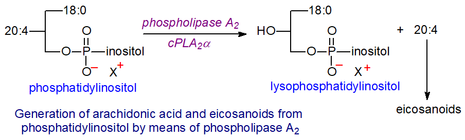 Generation of arachidonic acid and eicosanoids from phosphatidylinositol