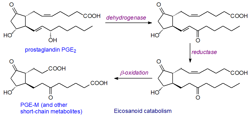Catabolism of eicosanoids