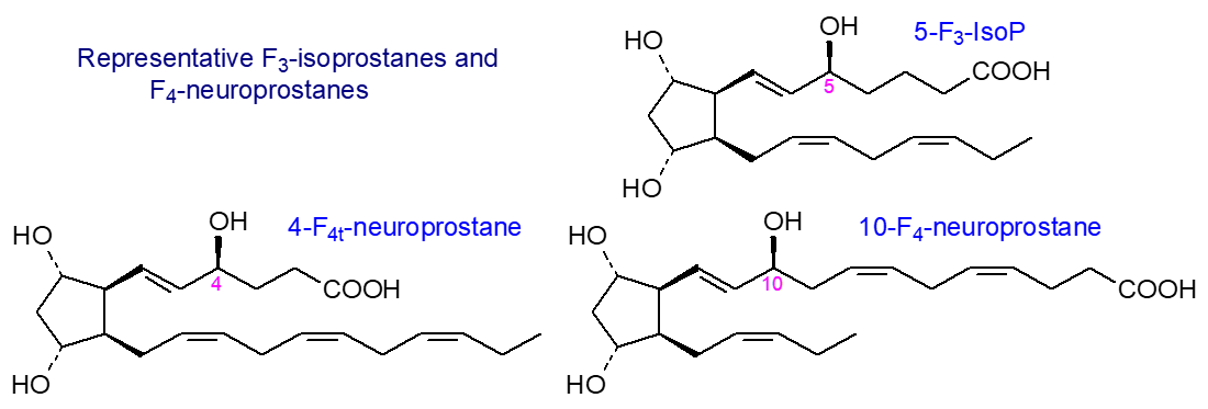Formulae of representative F3-isoprostanes and F4-neuroprostanes