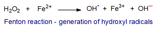 Fenton reaction - Generation of hydroxyl radicals
