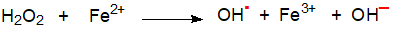 Formation of isoprostanes via endoperoxides